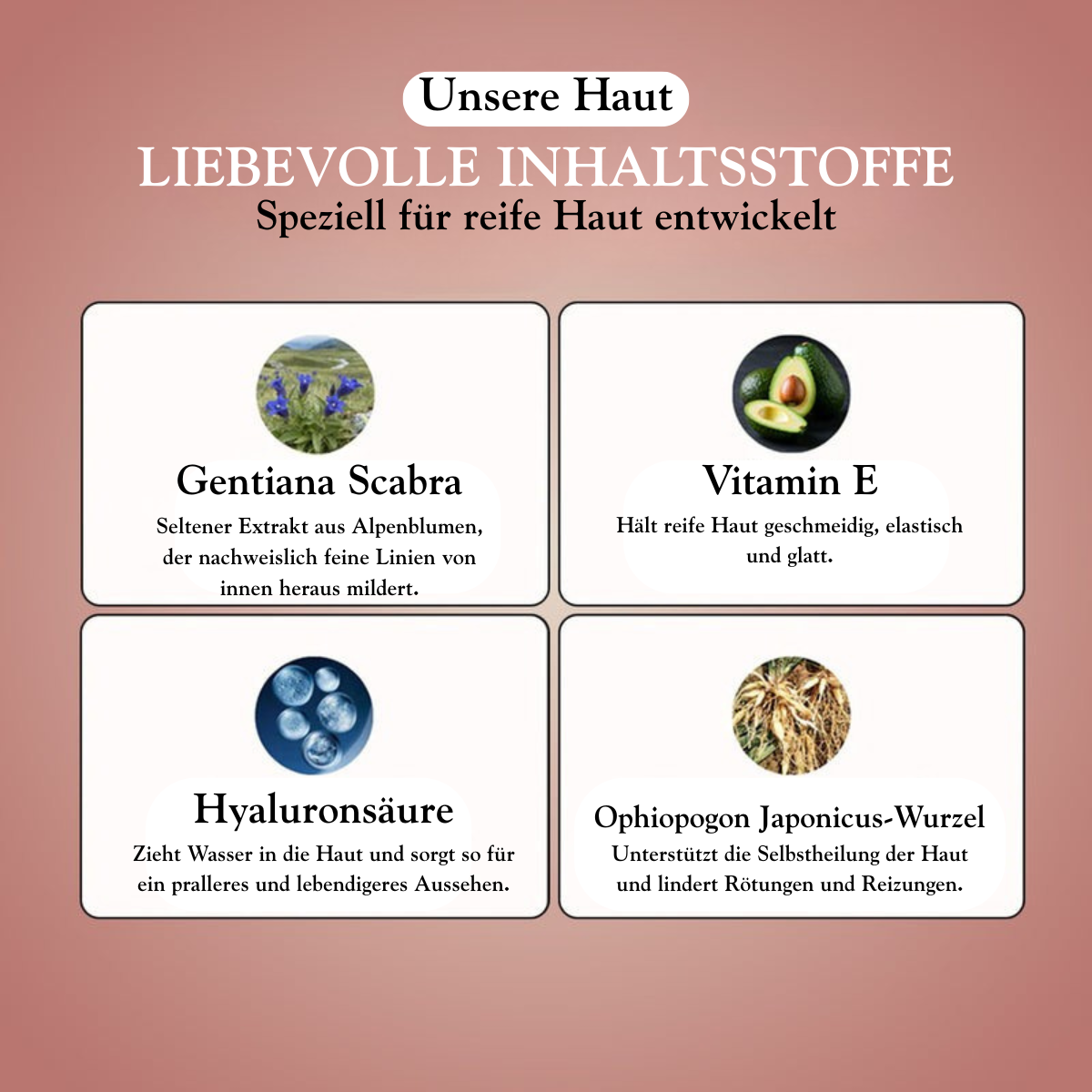 Original-Wechselgrundlage 4 in 1