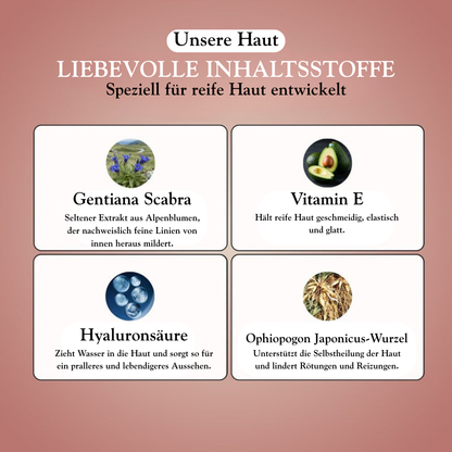 Original-Wechselgrundlage 4 in 1